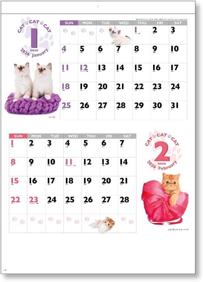 King Corporation 2026 Wall Calendar CAT CAT CAT B3 535 x 380mm KC30128