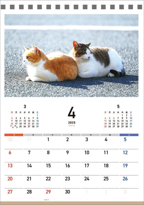 Hagoromo Charity Calendar Relaxing Cat 2025 Desk Calendar CL25-0687