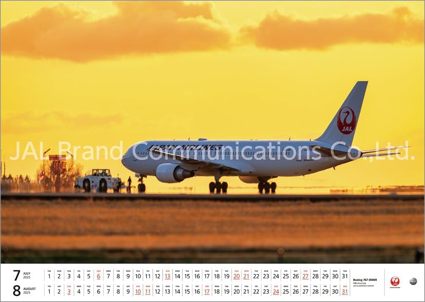 JAL 'FLEET' (Large Size) 2025 Wall Calendar CL25-1134