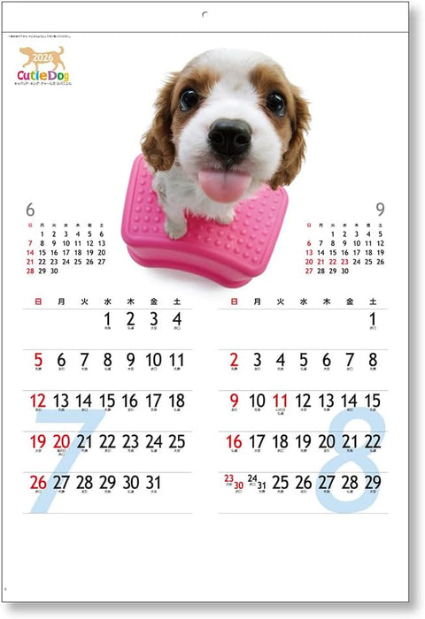 King Corporation 2026 Wall Calendar Cutie Dog 450 x 308mm KC30135