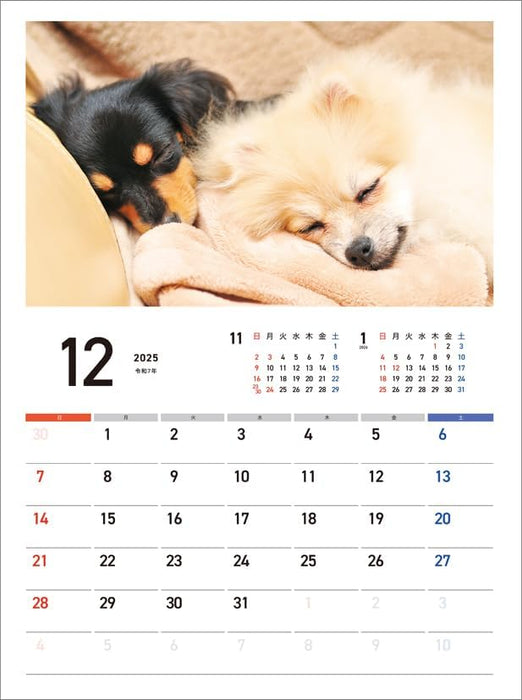 Hagoromo Charity Calendar Good Night Dog 2025 Wall Calendar CL25-0688