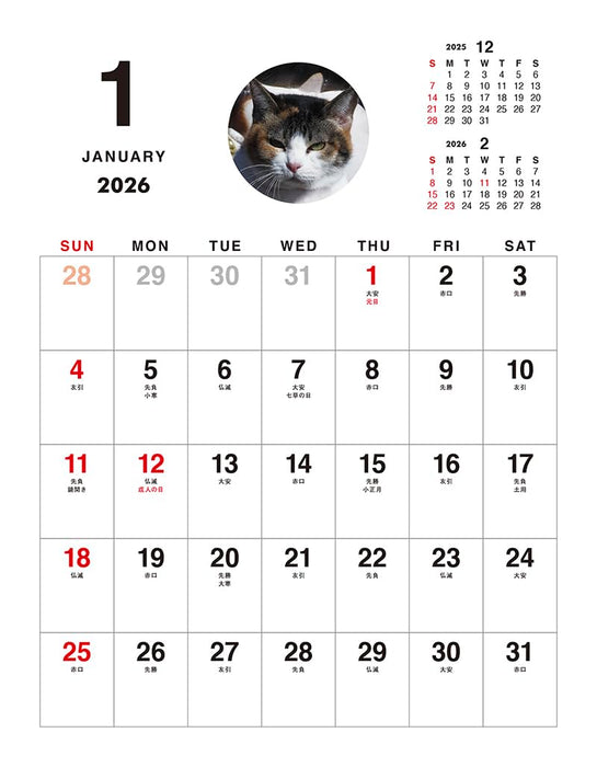Mitsuaki Iwago Boss Cat Desk Calendar 2026