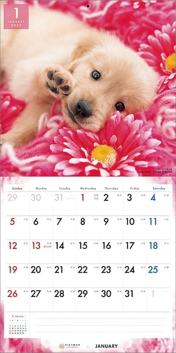 PICTWAN 2025 Calendar L Edition Golden Retriever CL25-1213