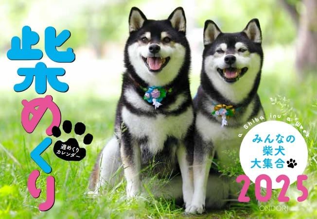 CO2 Shiba Inu 2024 Desk Calendar CK-D25-03