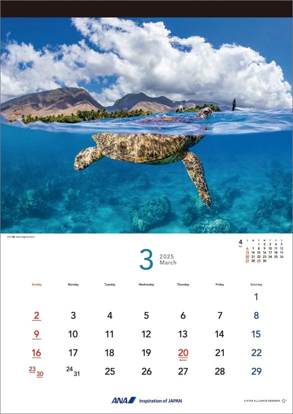 ANA 'Graphic Gallery Hawaii' 2025 Wall Calendar CL25-1145