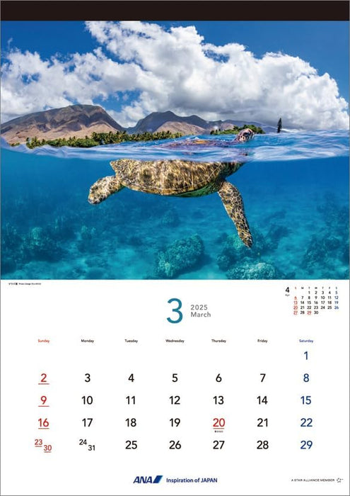 ANA 'Graphic Gallery Hawaii' 2025 Wall Calendar CL25-1145