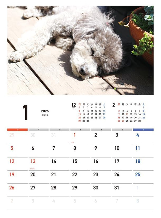 Hagoromo Charity Calendar Good Night Dog 2025 Wall Calendar CL25-0688