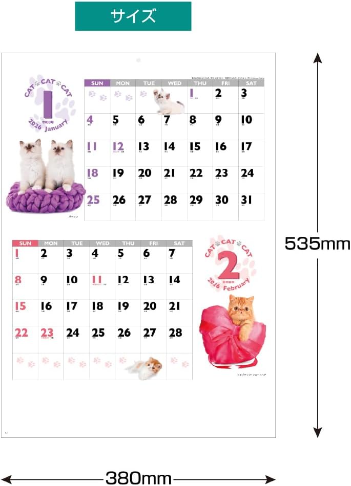 King Corporation 2026 Wall Calendar CAT CAT CAT B3 535 x 380mm KC30128