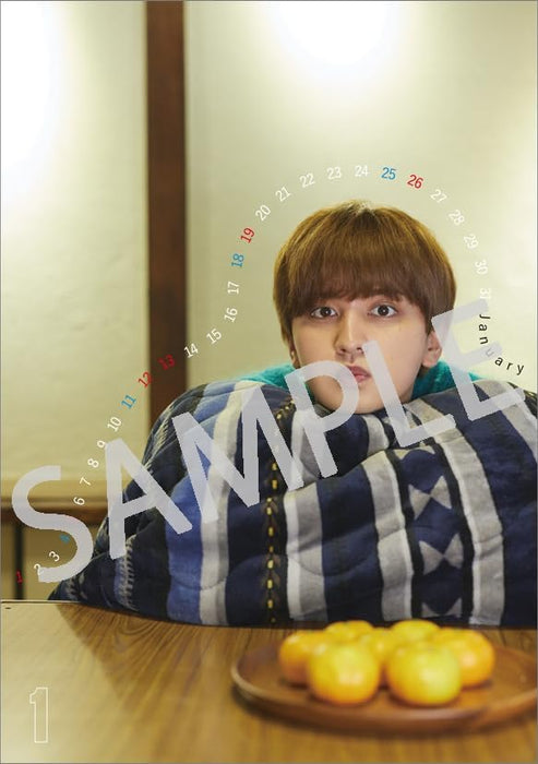 Hagoromo Toshiki Seto 2025 Desk Calendar CL25-0317