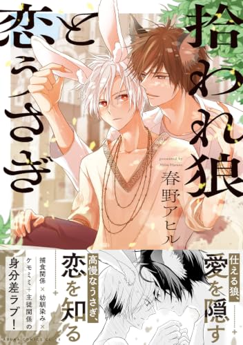 Hiroware Ookami to Koi Usagi
