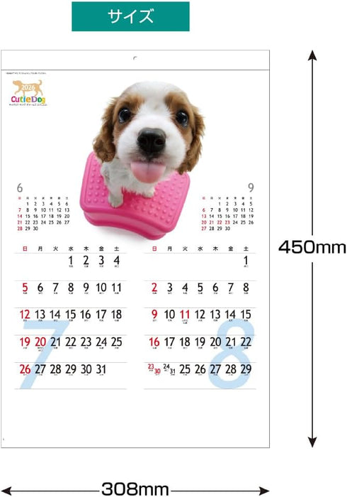 King Corporation 2026 Wall Calendar Cutie Dog 450 x 308mm KC30135