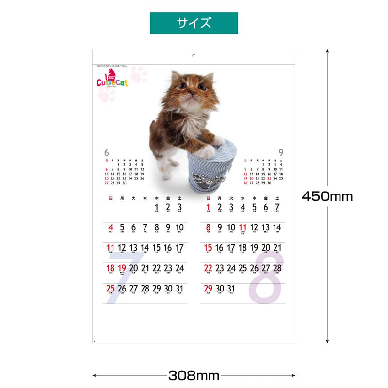Eco Wall Calendar 2027 2-Month View Double B5 Size E91