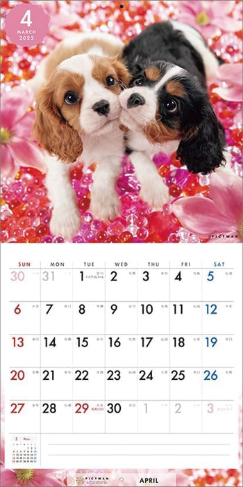 PICTWAN 2025 Calendar Cavalier - King Charles Spaniel - Small