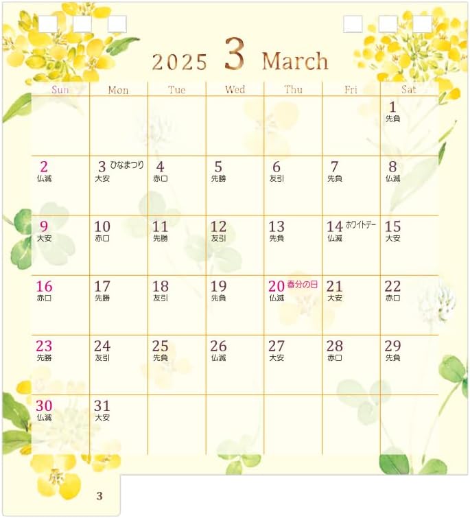 Midori 2025 Desk Calendar S Country Time Floral Pattern 31312006