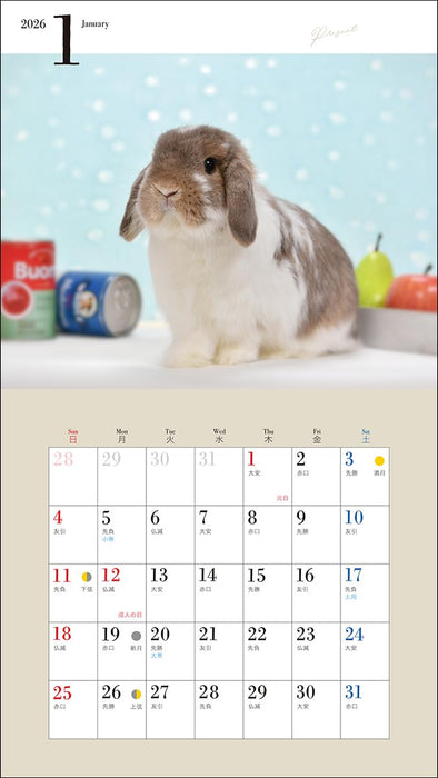 2026 Adorable Rabbit Calendar (Seibundo-shinkosha Calendar)
