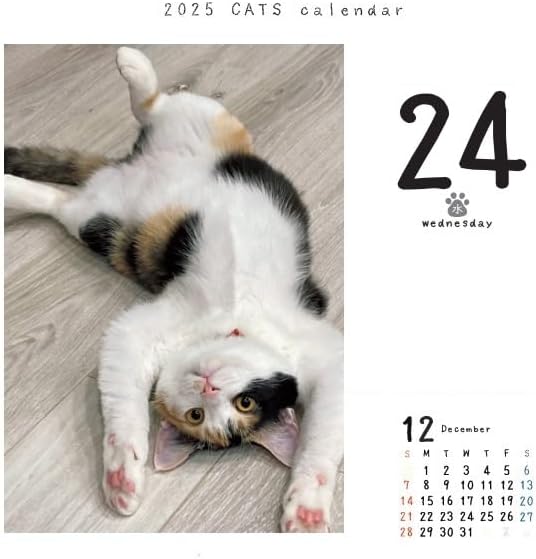 CO2 Cats 2025 Page-A-Day Calendar Refill CK-C25-02