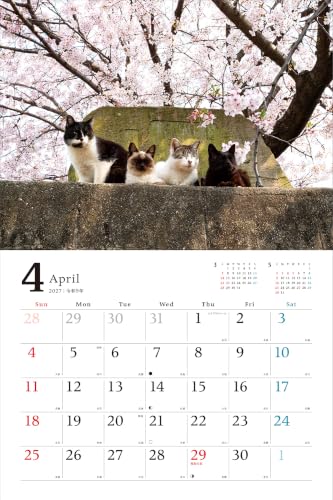 New Japan Calendar 2027 Wall Calendar Wa no Irodori NK88