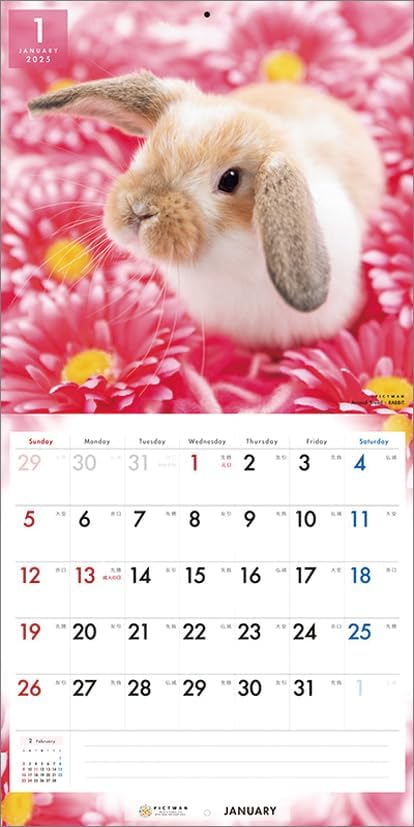 PICTWAN 2025 Calendar Rabbit