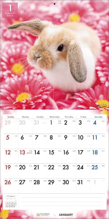 PICTWAN 2025 Calendar Rabbit