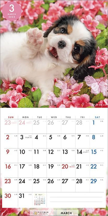 PICTWAN 2025 Calendar Cavalier - King Charles Spaniel - Small