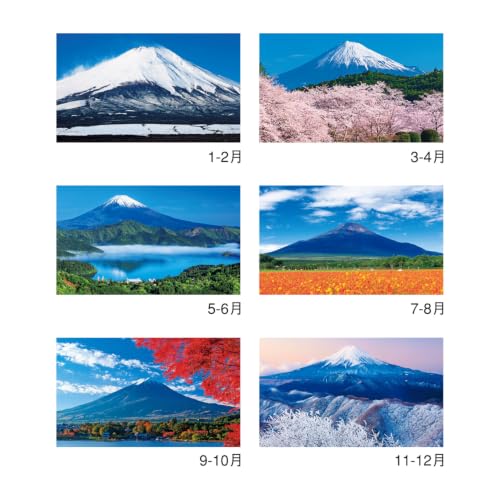 Midori 2027 Wall Calendar L Ojisan Pattern 31422006