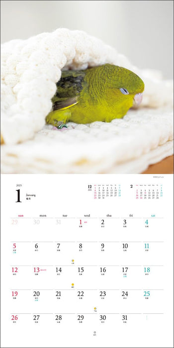 2025 Life with Birds Calendar Parakeets & Parrots