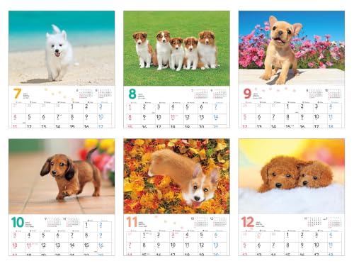 Takahashi 2027 Wall Calendar B5 E92