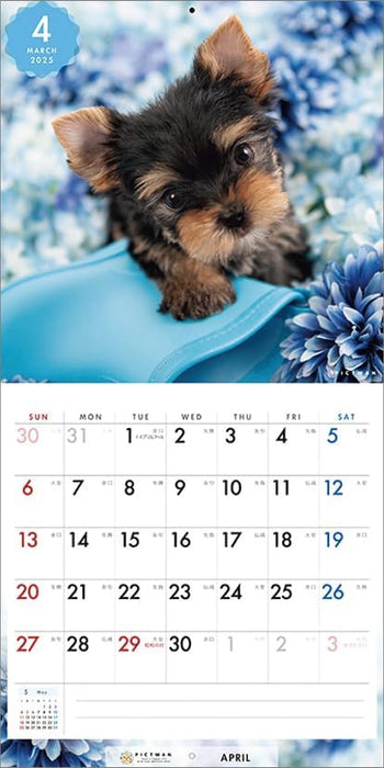 PICTWAN 2025 Calendar S Edition Yorkshire Terrier CL25-1245