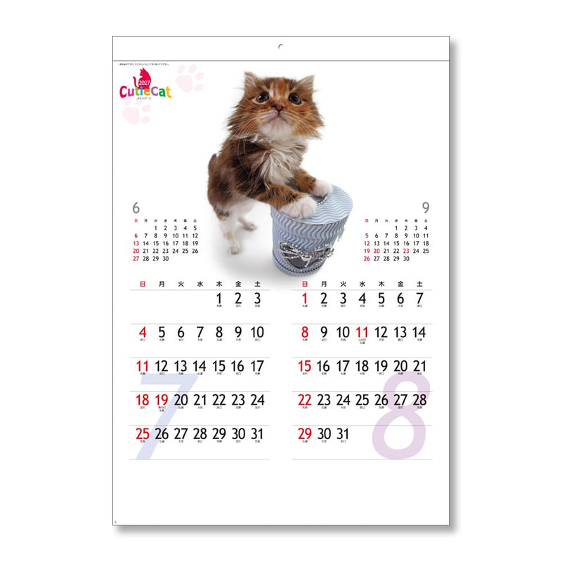 Eco Wall Calendar 2027 2-Month View Double B5 Size E91