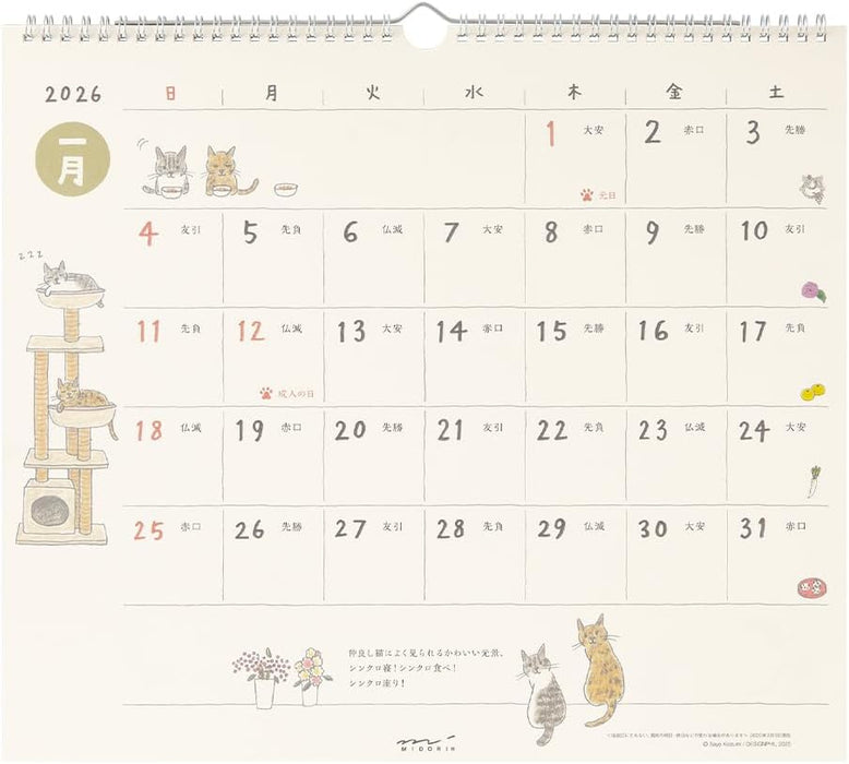 Midori 2026 Wall Calendar L Cat Oattern 31374006