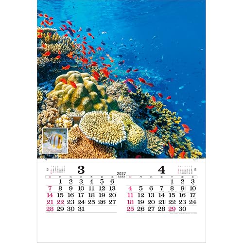Todan 2027 Wall Calendar Marine Blue Tohan DX Film 75 x 50.4cm TD-527