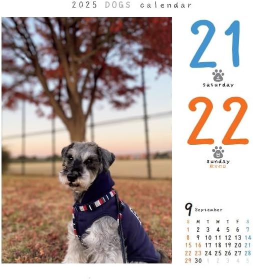 CO2 Dogs 2025 Page-A-Day Calendar Refill CK-D25-02