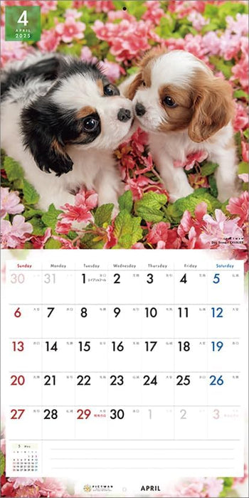 PICTWAN 2025 Calendar Cavalier - King Charles Spaniel