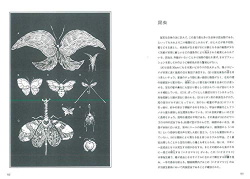 Land of the Lustrous (Houseki no Kuni) 11 Limited Edition