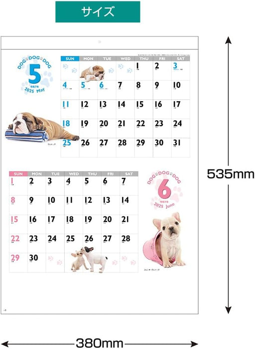 King Corporation 2025 Wall Calendar DOG DOG DOG B3 535 x 380mm KC30129