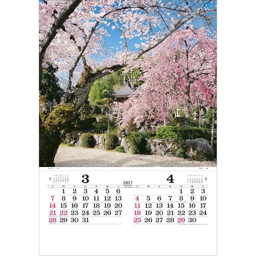 Todan 2027 Wall Calendar Garden Tohan DX Film 75 x 50.4cm TD-510
