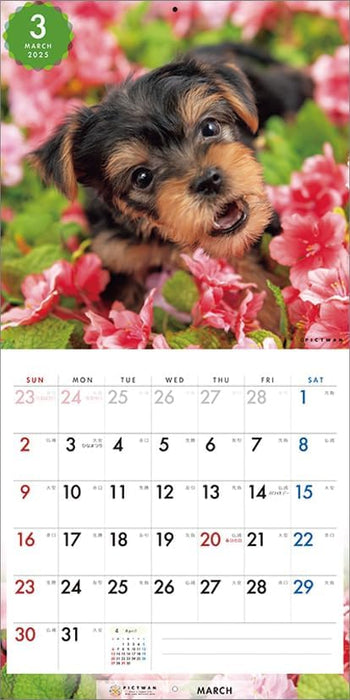 PICTWAN 2025 Calendar S Edition Yorkshire Terrier CL25-1245