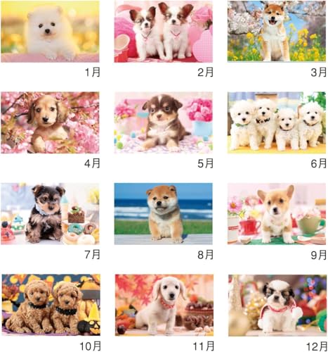 New Japan Calendar 2027 Wall Calendar Thank you! Dog NK454