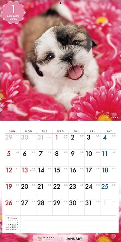 PICTWAN 2025 Calendar Shih Tzu