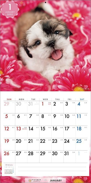 PICTWAN 2025 Calendar Shih Tzu