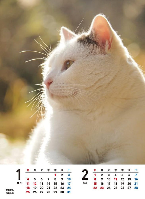 Kimama Neko-sama 2026 Desk Calendar [B6 Vertical Format] S4