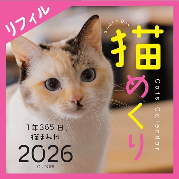 CO2 Cats 2026 Page-A-Day Calendar Refill CK-C26-02