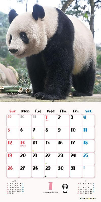 Try-X Xiang Xiang Xiaoxiao Lei Lei 2025 Wall Calendar CL-385 48 x 24cm