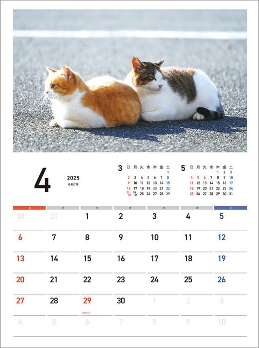 Hagoromo Charity Calendar Relaxing Cat 2025 Wall Calendar CL25-0686