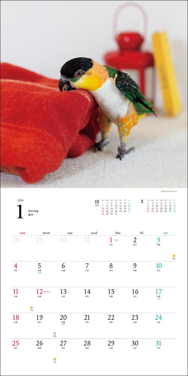 2026 Life with Birds Calendar Parakeets & Parrots