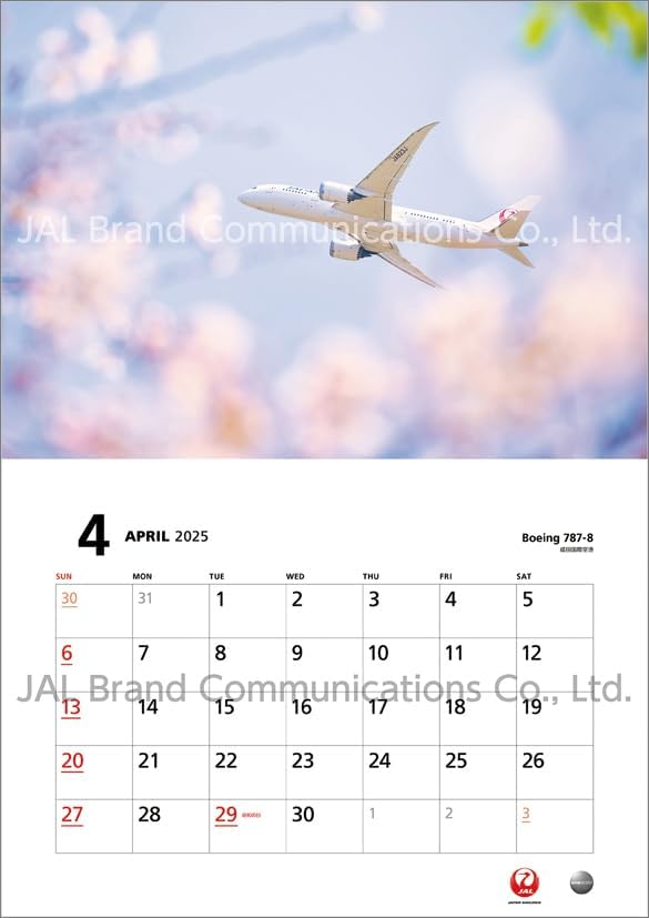 JAL 'FLEET' (Normal Size) 2025 Wall Calendar CL25-1135