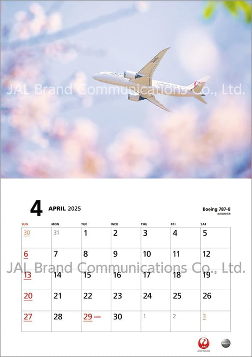 JAL 'FLEET' (Normal Size) 2025 Wall Calendar CL25-1135