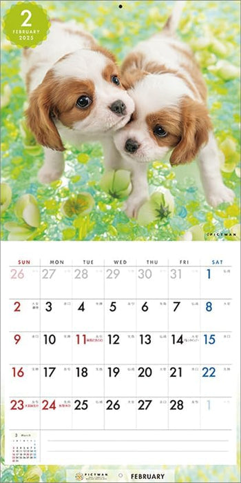 PICTWAN 2025 Calendar Cavalier - King Charles Spaniel - Small