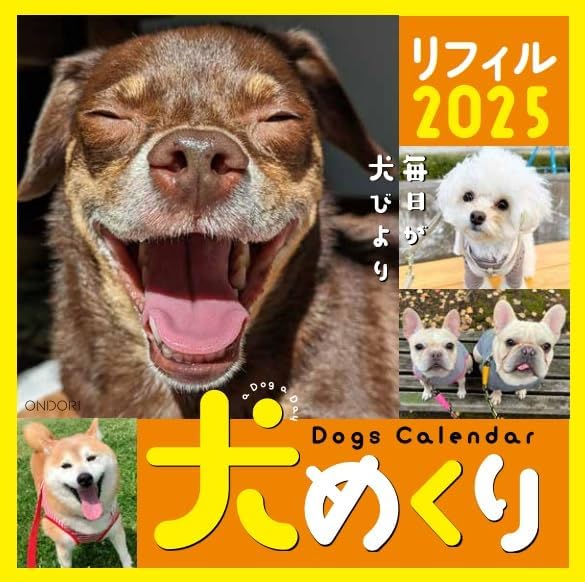 CO2 Dogs 2025 Page-A-Day Calendar Refill CK-D25-02