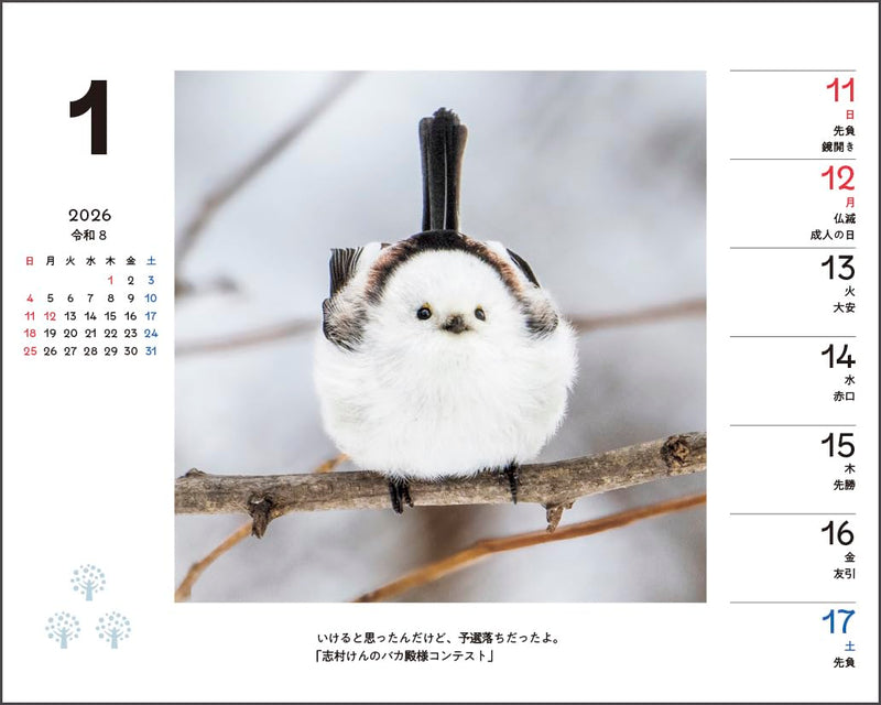 Shimaenaga and Friends of the Forest Weekly Desk Calendar 2026 Special Edition with Postcard